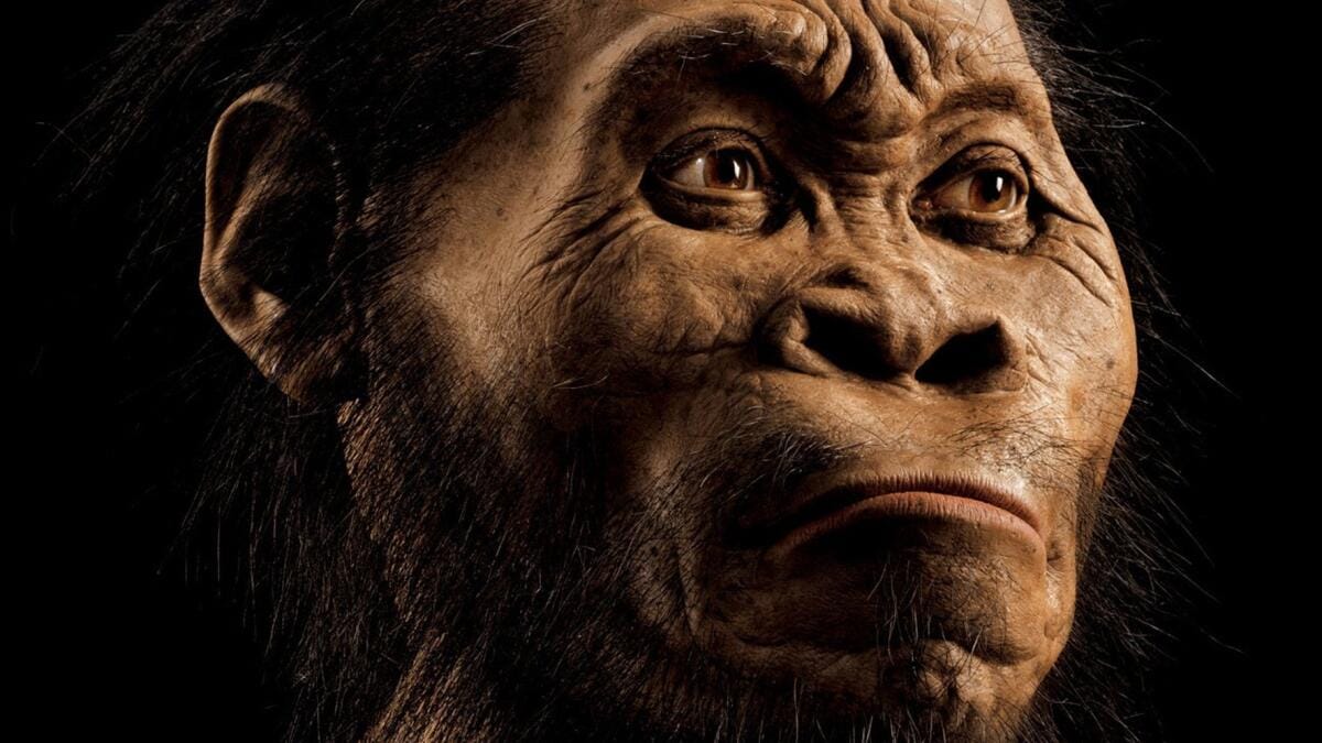 Предки человека не эволюционировали от лазания к хватанию предметов поэтапно — функции рук развивались множеством путей — исследование