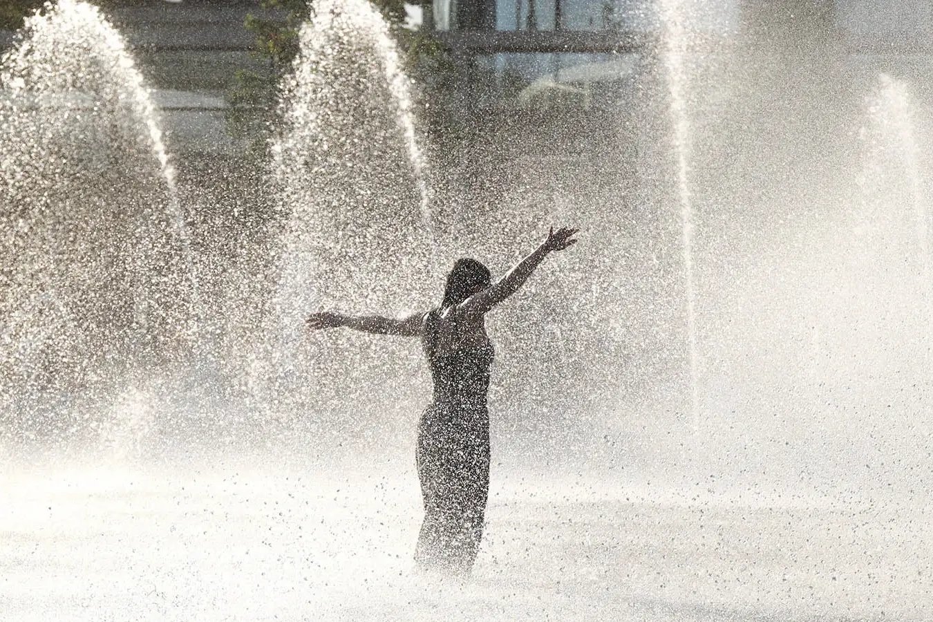 Фото: Ярослав Чингаев / Агентство «Москва»